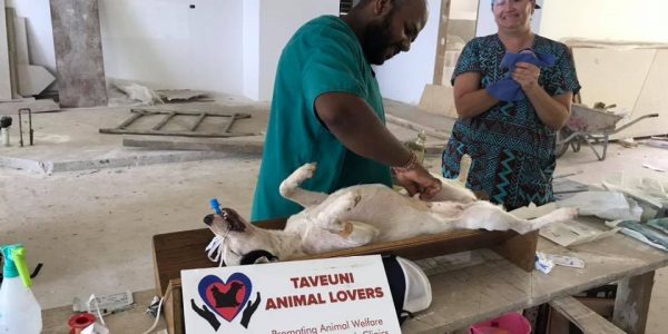 Taveuni Animal Lovers