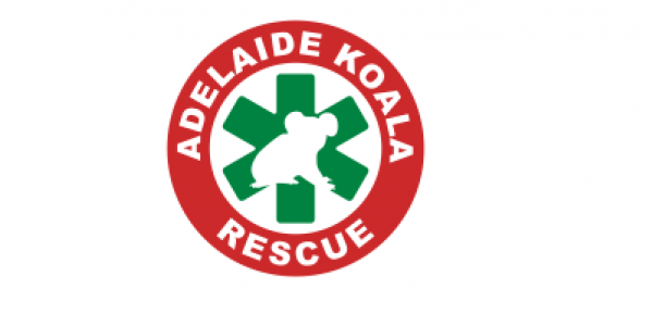Adelaide Koala Rescue
